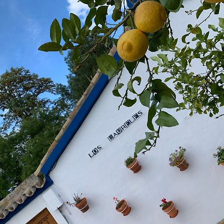 Casa Los Laureles Pilas Εξωτερικό φωτογραφία