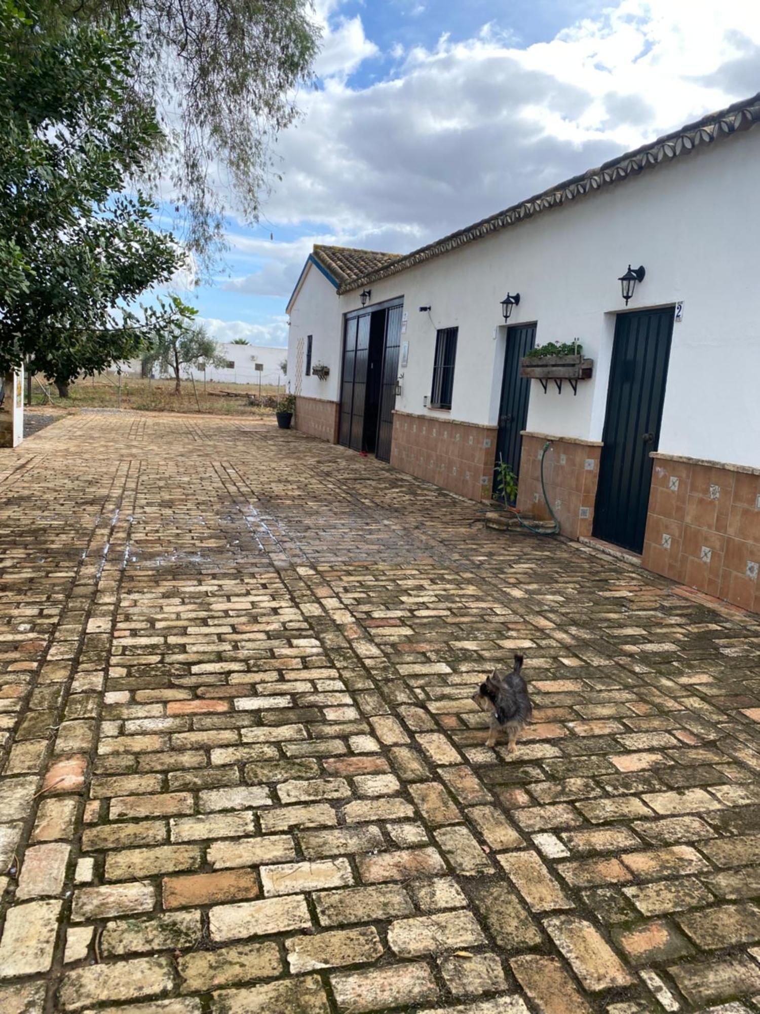 Casa Los Laureles Pilas Εξωτερικό φωτογραφία
