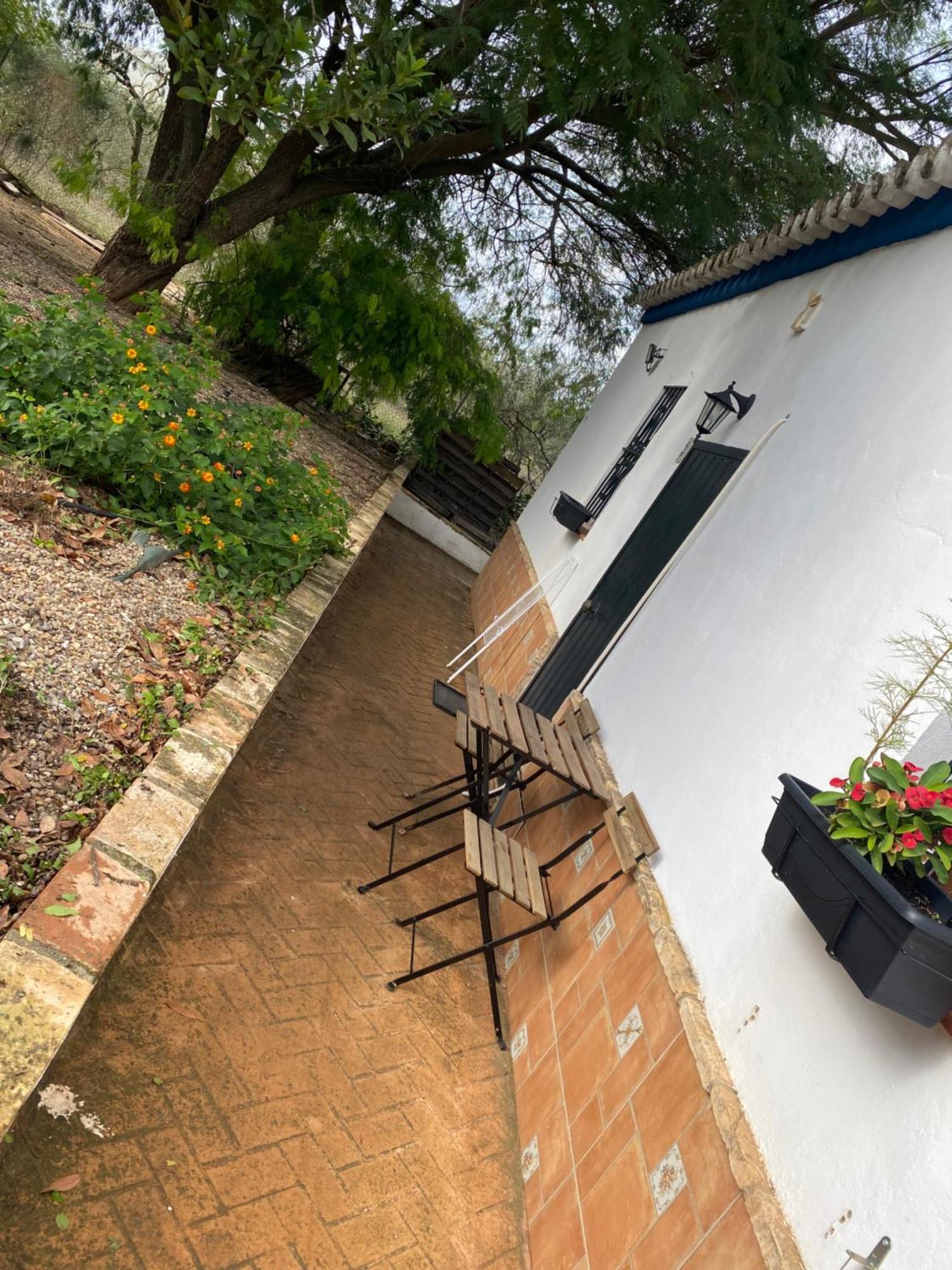 Casa Los Laureles Pilas Εξωτερικό φωτογραφία