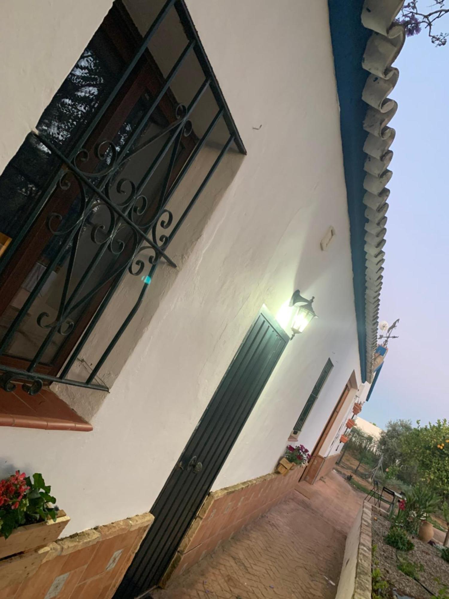 Casa Los Laureles Pilas Εξωτερικό φωτογραφία
