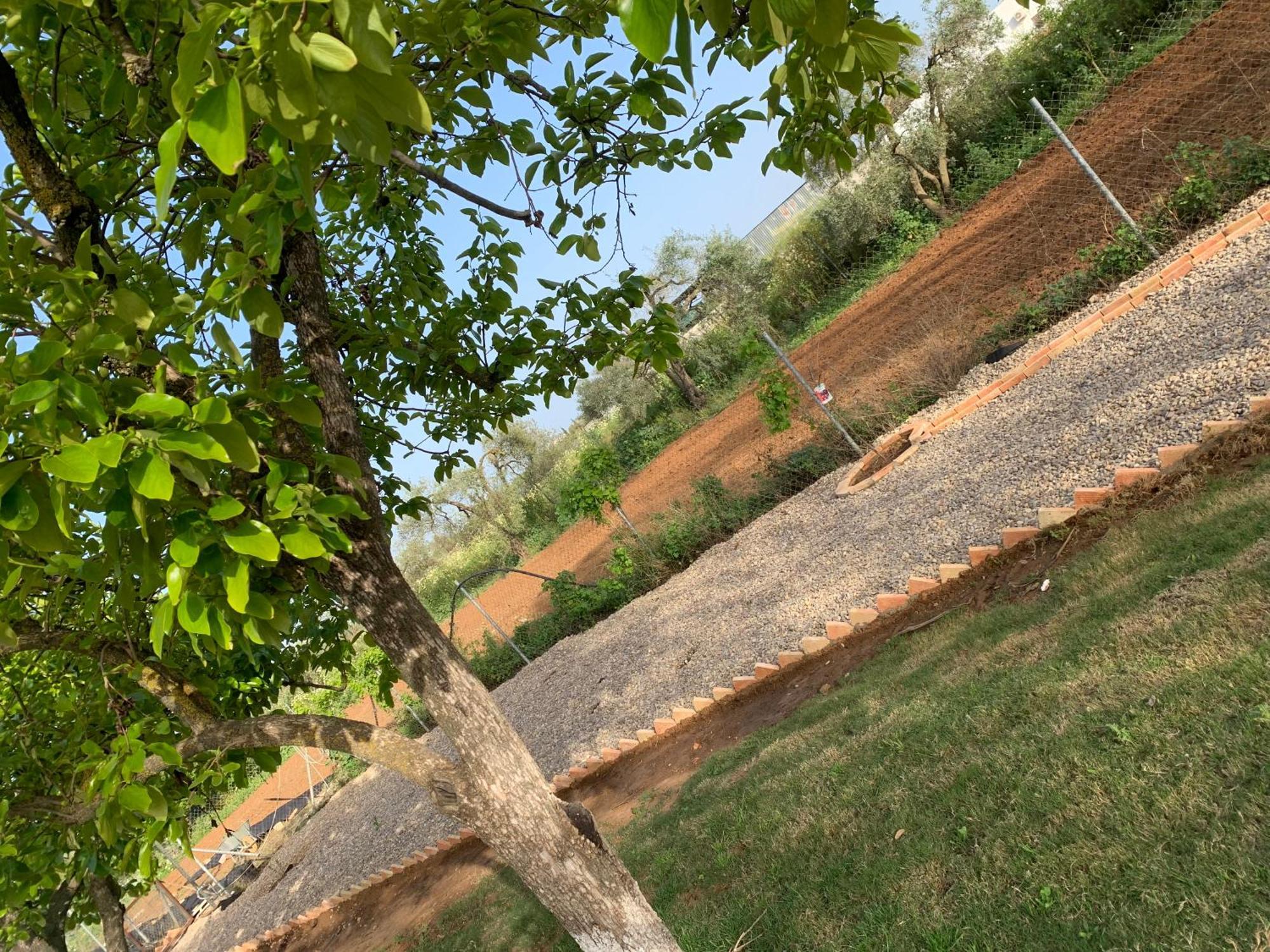 Casa Los Laureles Pilas Εξωτερικό φωτογραφία