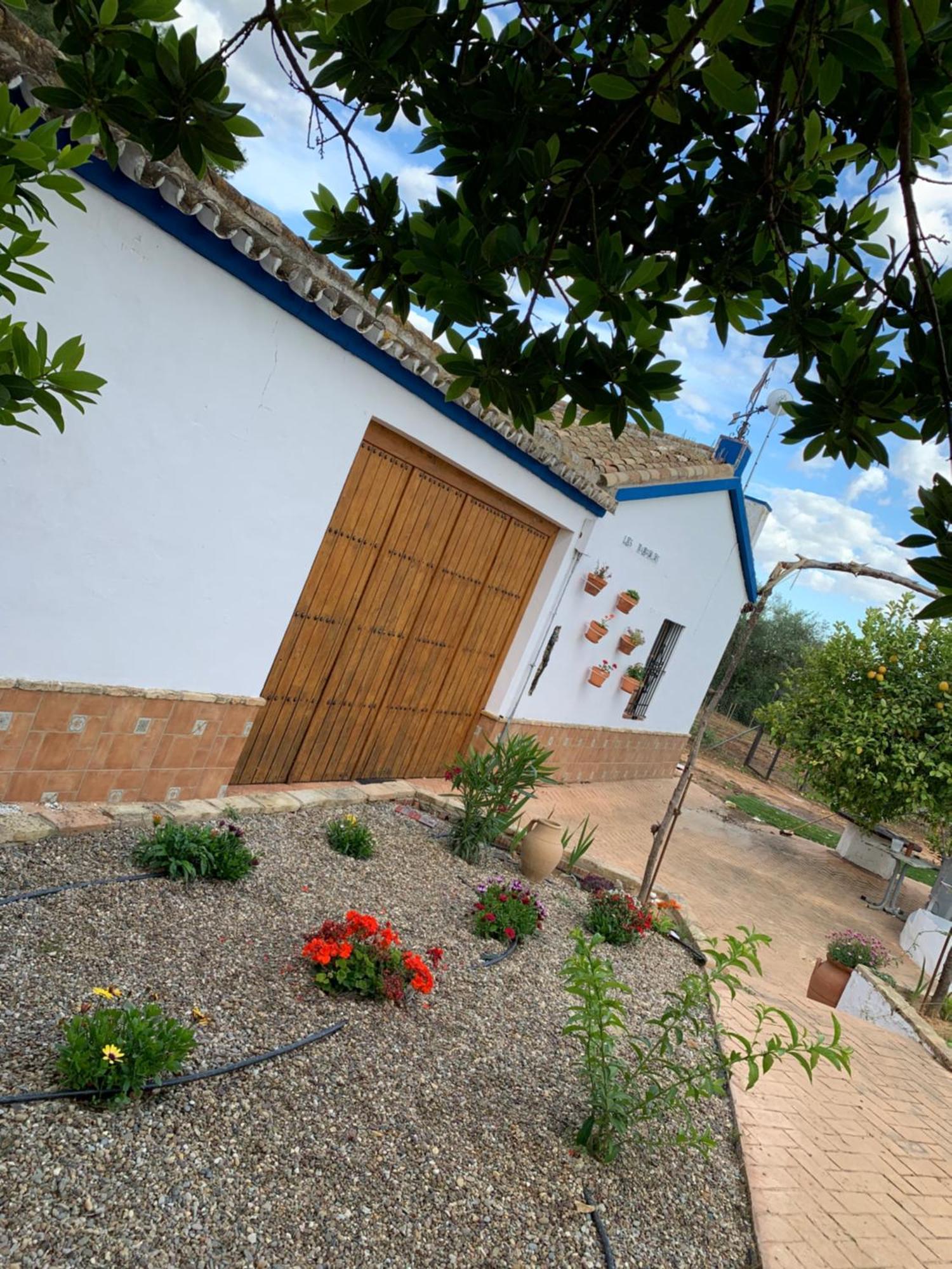 Casa Los Laureles Pilas Εξωτερικό φωτογραφία