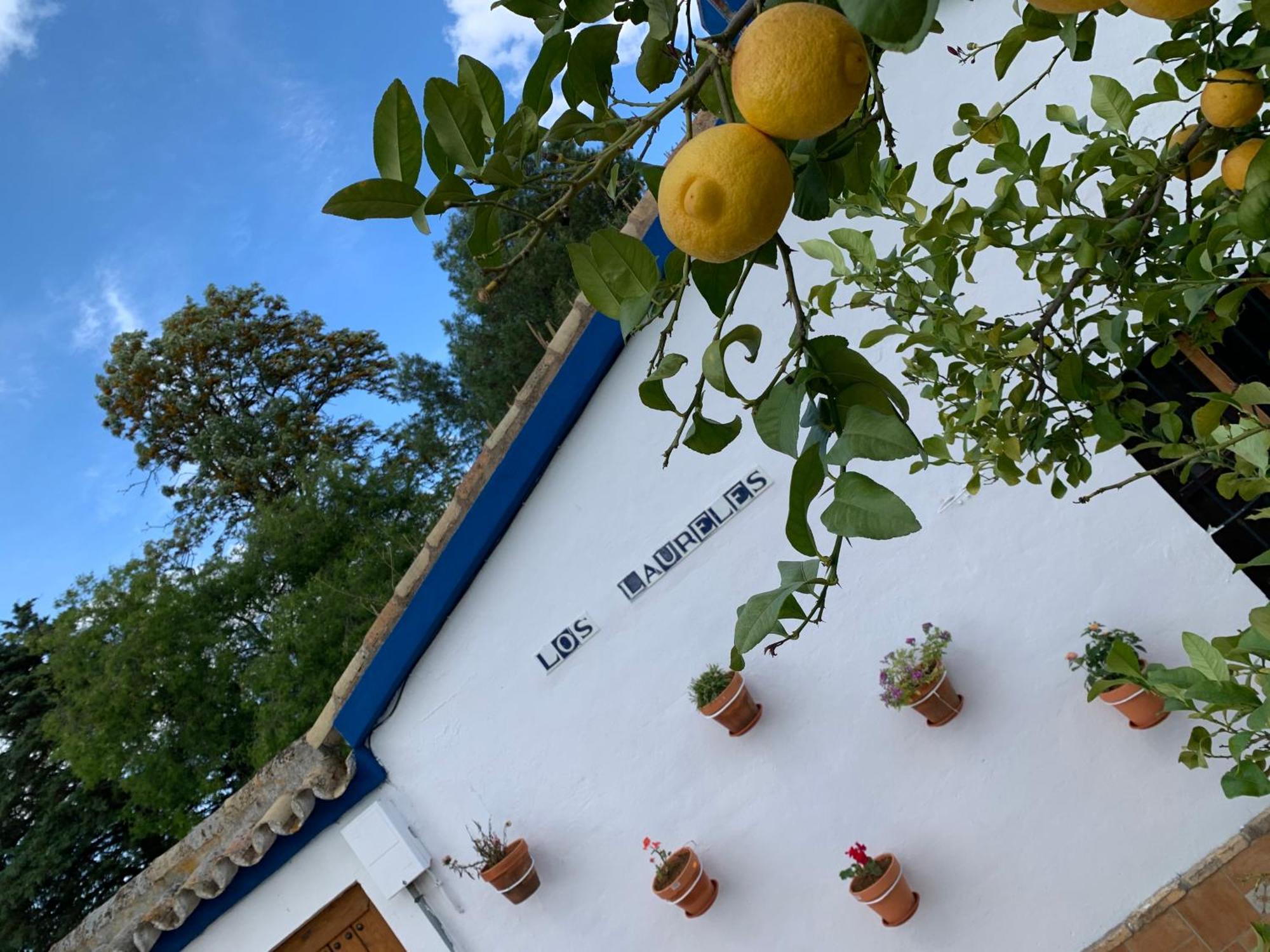 Casa Los Laureles Pilas Εξωτερικό φωτογραφία