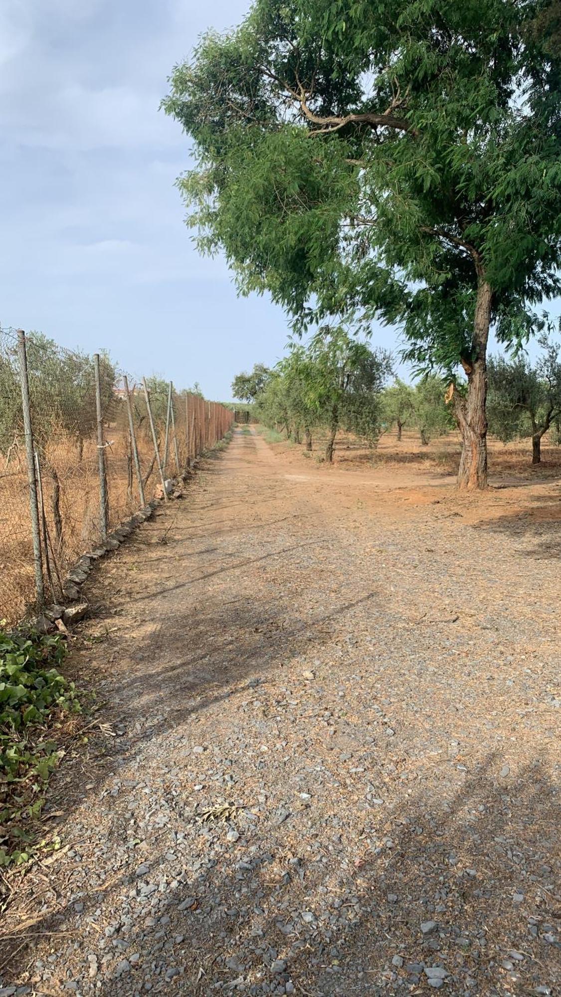 Casa Los Laureles Pilas Εξωτερικό φωτογραφία