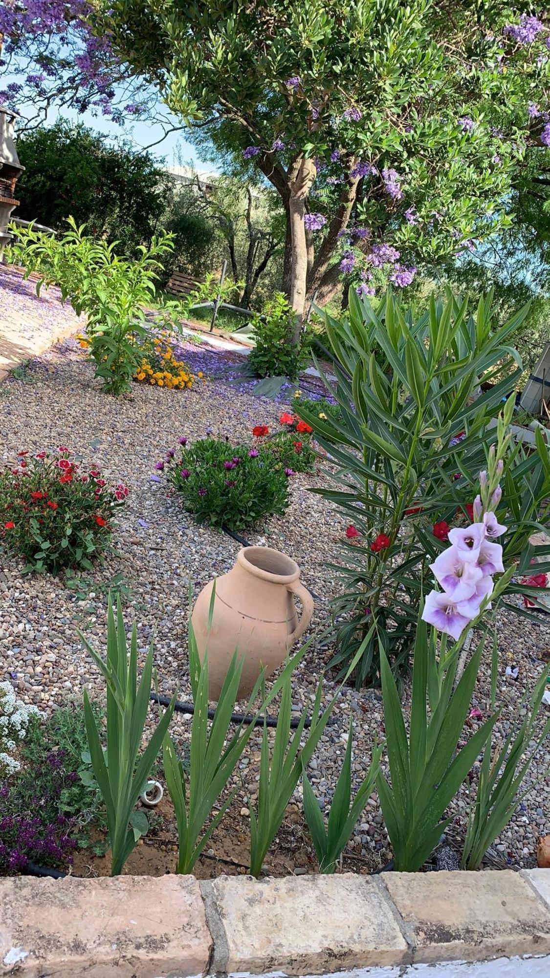 Casa Los Laureles Pilas Εξωτερικό φωτογραφία