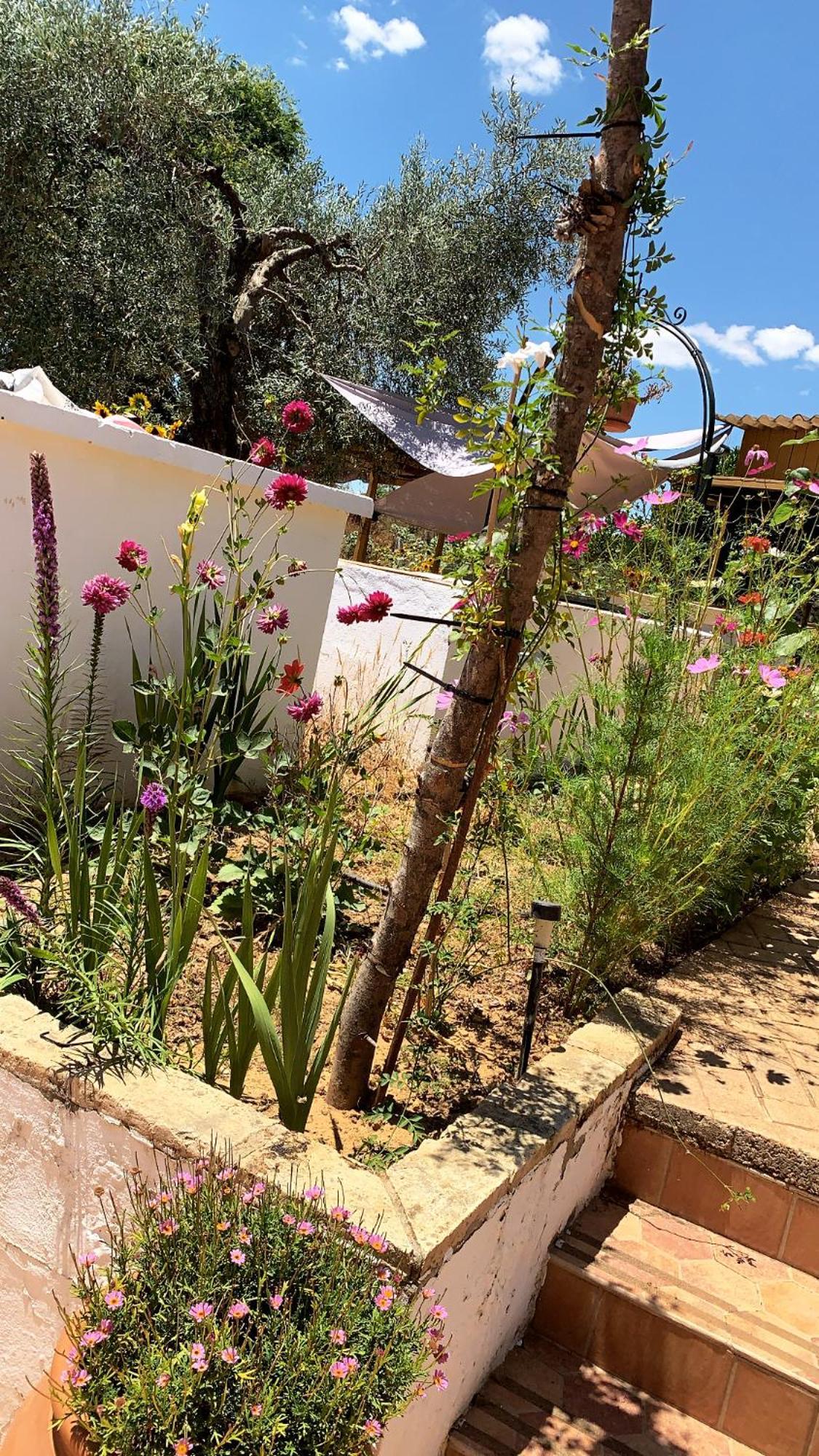Casa Los Laureles Pilas Εξωτερικό φωτογραφία